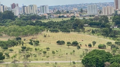 PARA PROTEGER CÓRREGO | Mil mudas de espécies do Cerrado serão plantadas neste domingo (28) em Águas Claras
