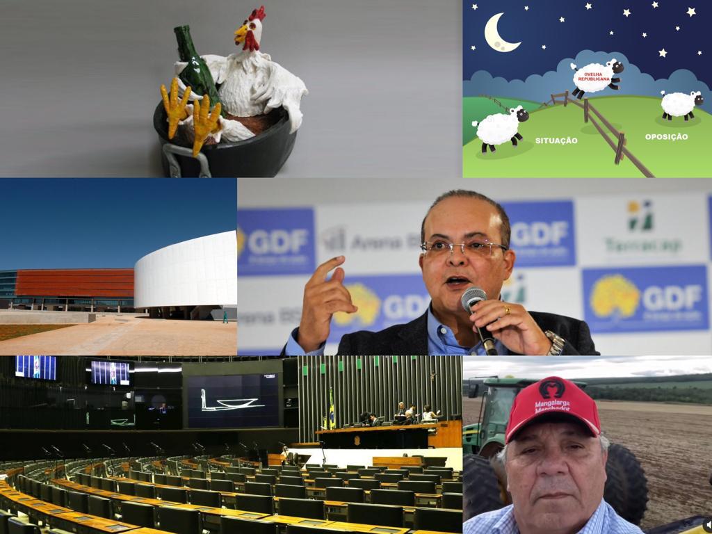 O FINO DA POLÍTICA | Adversários não ameaçam reeleição de Ibaneis aponta pesquisa