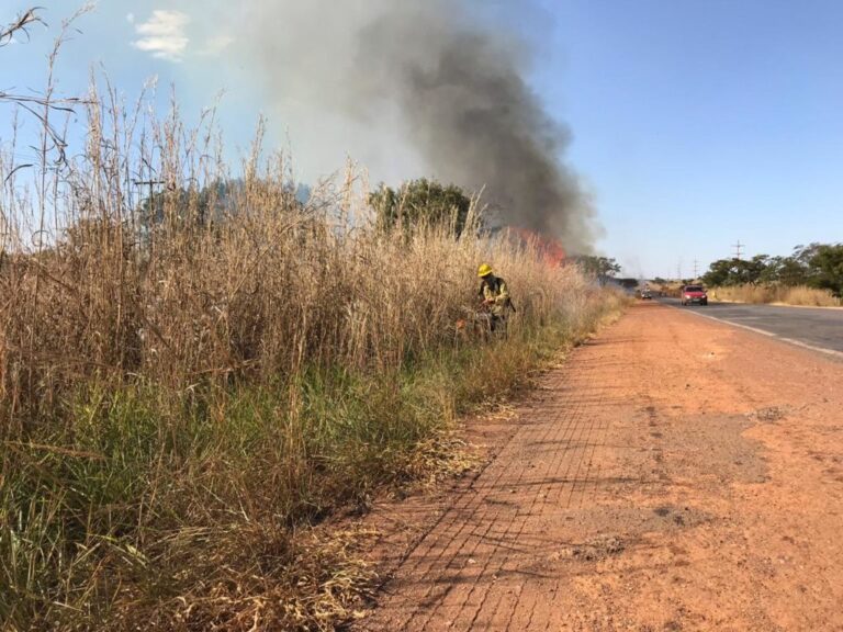 AÇÃO PREVENTIVA | Queimadas controladas ajudam a evitar incêndios no Cerrado