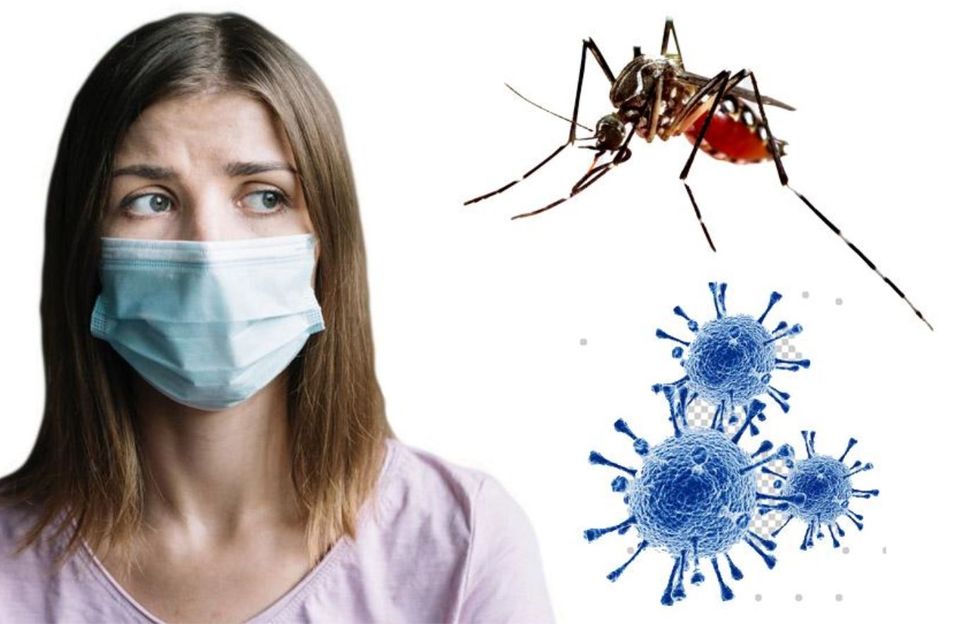QUAL É A DIFERENÇA? | Especialista orienta como distinguir os sintomas da covid-19 e dengue