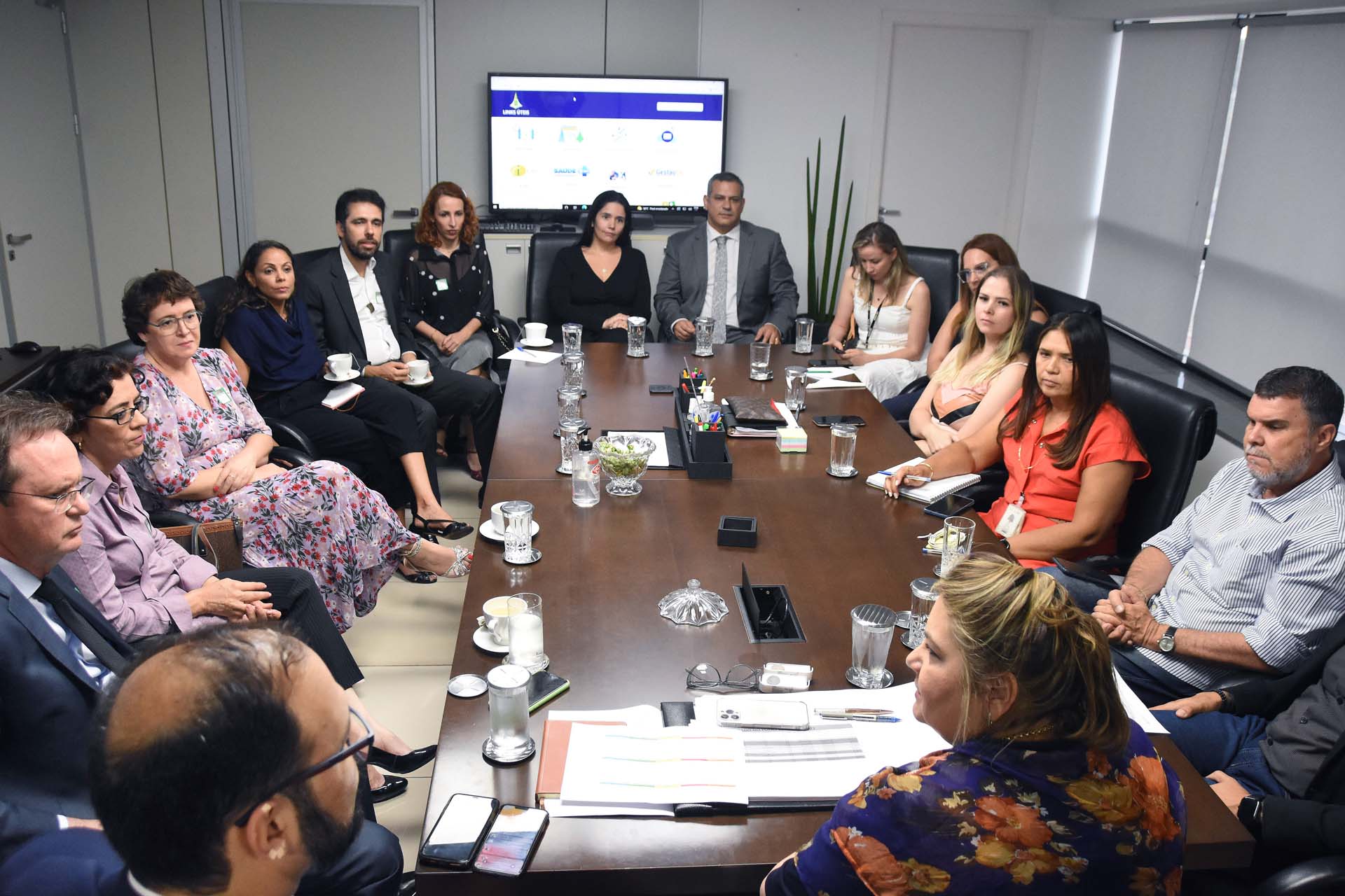 SAÚDE DO ENTORNO | GDF e Governo de Goiás se reúnem com MP para acertar detalhes de atuação conjunta na região