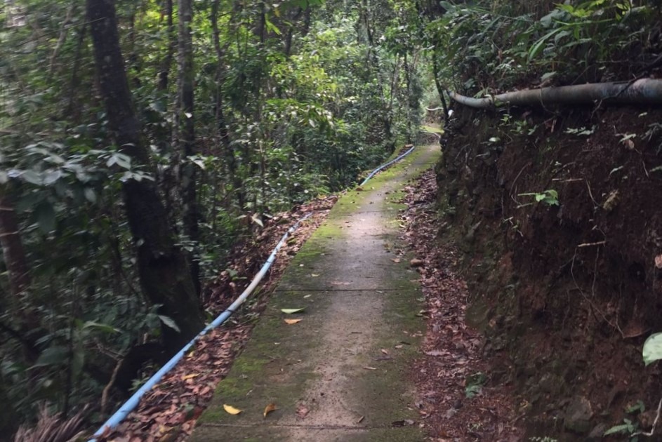 PRESERVANDO O CERRADO | Ibram autoriza a criação da primeira reserva particular de uso sustentável no DF