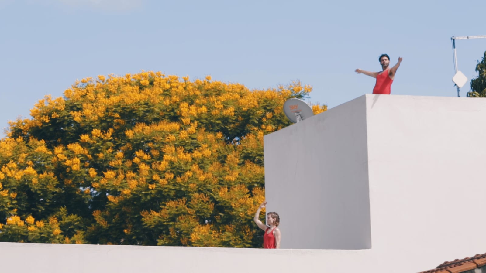 CINE BRASÍLIA | Filme que celebra a arte da dança e a W3 Sul será exibido gratuitamente na segunda (6)