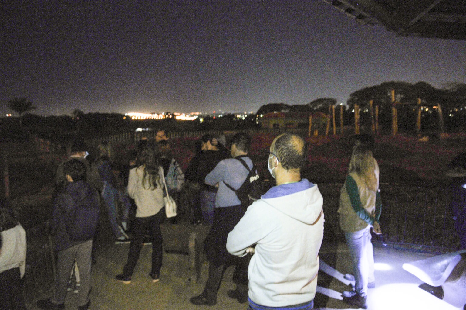 PROJETO ESTÁ DE VOLTA | Zoológico de Brasília passa a ter visita guiada noturna