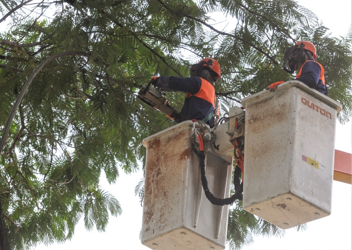ADMINISTRAÇÃO 24 HORAS | População pode solicitar serviços públicos pela internet