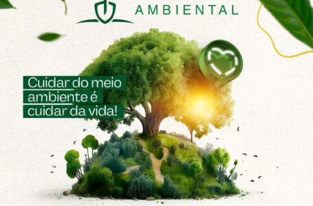VIRADA AMBIENTAL | Alego promove 5ª edição do projeto que incentiva a preservação do cerrado nos 246 municípios goianos