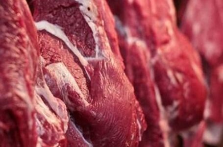 APÓS VISITA DE TÉCNICOS BRITÂNICOS | Reino Unido adota novas medidas com a carne brasileira e retira restrição