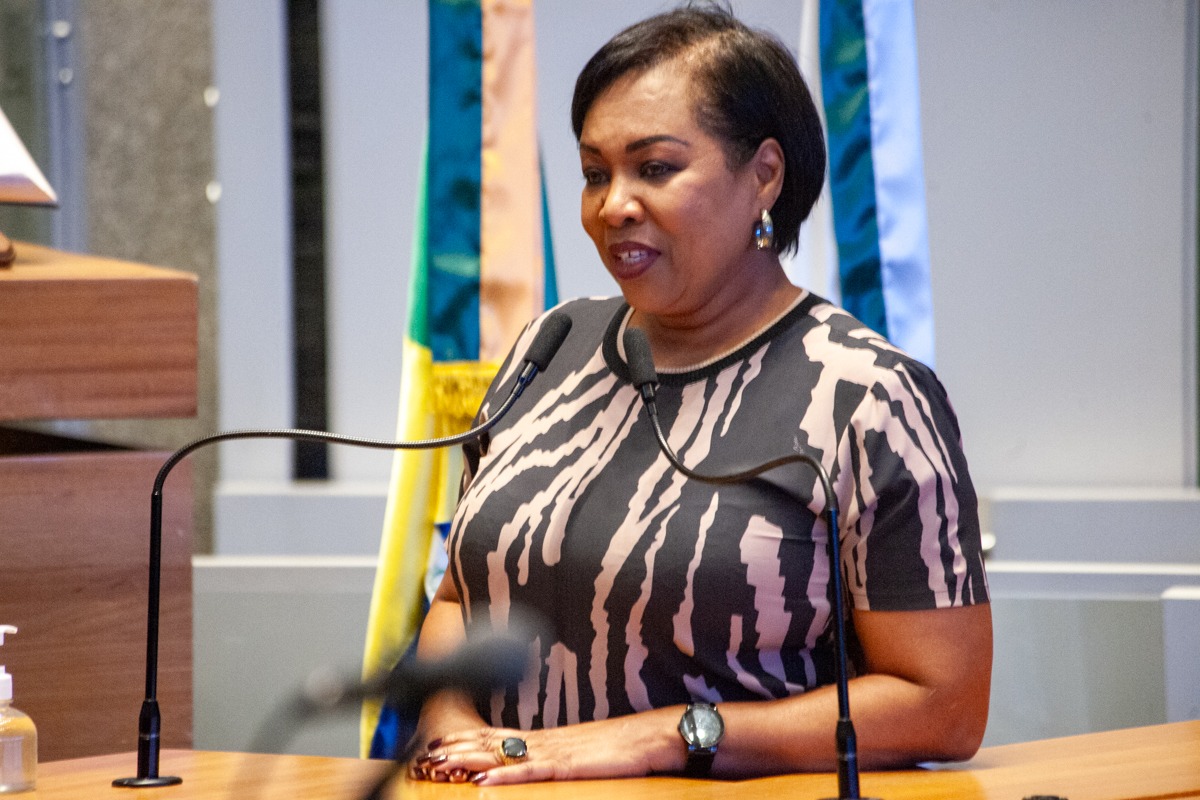 SOB A COORDENAÇÃO DA DOUTORA JANE | Frente Parlamentar da CLDF promove audiência nesta sexta (25) para debater o desenvolvimento tecnológico do DF e aprimorar a legislação vigente