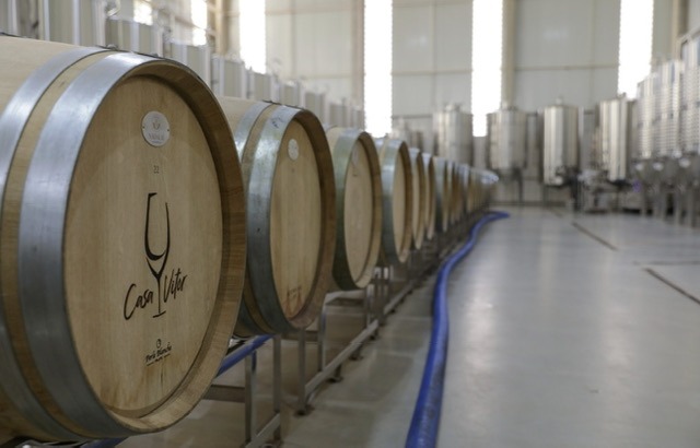 ROTA DO VINHO | GDF cria grupo de trabalho para incentivar o enoturismo em Brasília