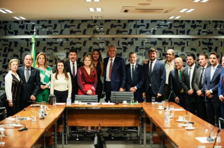 EM REUNIÃO COM A BANCADA FEDERAL | Caiado, deputados e senadores discutem projetos de interesse de Goiás