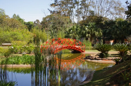 CONSERVAÇÃO DO CERRADO | Jardim Botânico de Brasília (JBB) alcança a mais alta classificação e é reconhecido como um dos mais completos do país