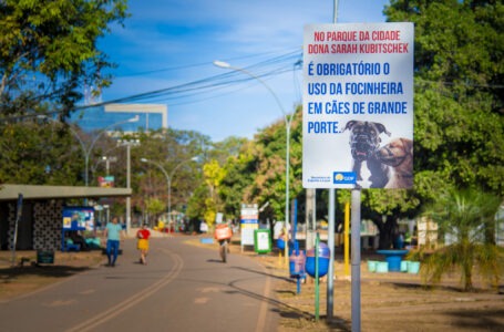 PET SÓ COM COLEIRA | Administração do Parque da Cidade realiza campanha educativa para uso de focinheira e outros equipamentos de segurança apropriado para animais