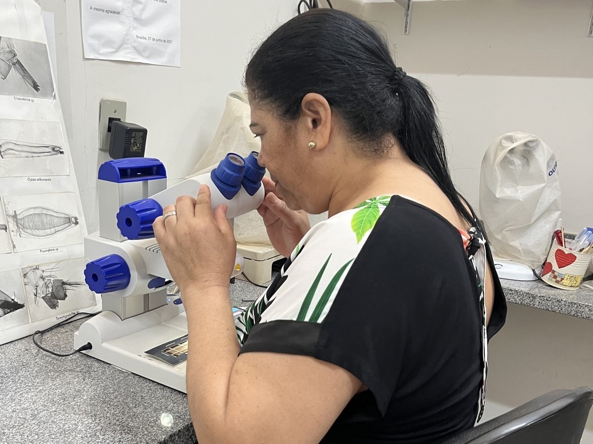 COMBATE AO AEDES AEGYPTI | Agentes da Vigilância Ambiental participam de treinamento para aprimorar controle e monitoramento