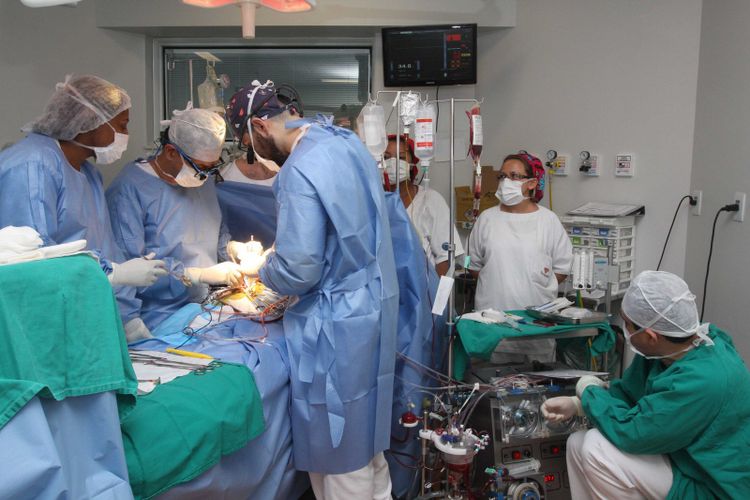 NOVO RECORDE | DF tem a maior média de transplantes de órgãos realizados no País