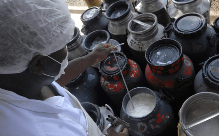 QUEM VAI ARCAR COM O PREJUÍZO? | Produtores rurais perdem leite, queijos e derivados por falta de energia em Goiás