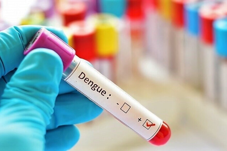 NOVO RECORDE | Brasil volta a registrar alta de mortes por dengue pelo segundo ano consecutivo