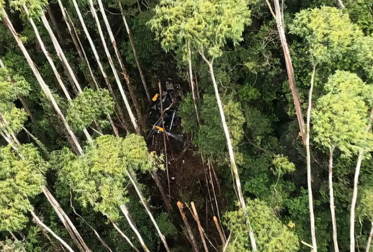 DESTROÇOS EM MATA FECHADA | Equipes de resgates retiram corpos de vítimas de queda de helicóptero em São Paulo