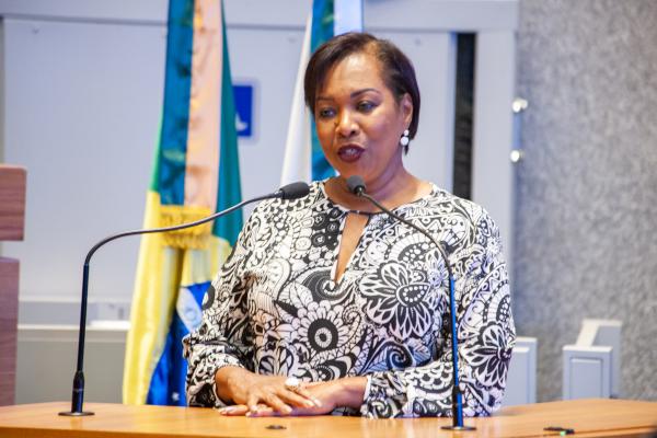 NO MÊS DA MULHER | Distritais aprovam proposta da Doutora Jane e CLDF terá Comissão Permanente dos Direitos das Mulheres