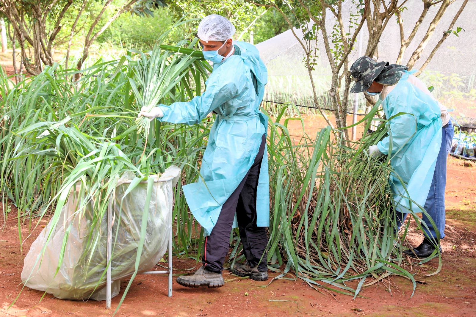 MUTIRÃO DA SAÚDE | Profissionais da rede pública são capacitados para produzir repelente caseiro contra a dengue