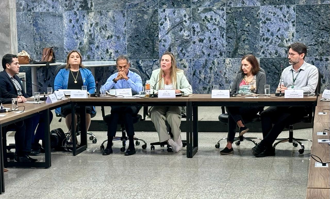 NOVAS MEDIDAS CONTRA A DENGUE | Celina anuncia que hospitais particulares vão adotar protocolo de atendimento padrão para pacientes com sintomas da doença