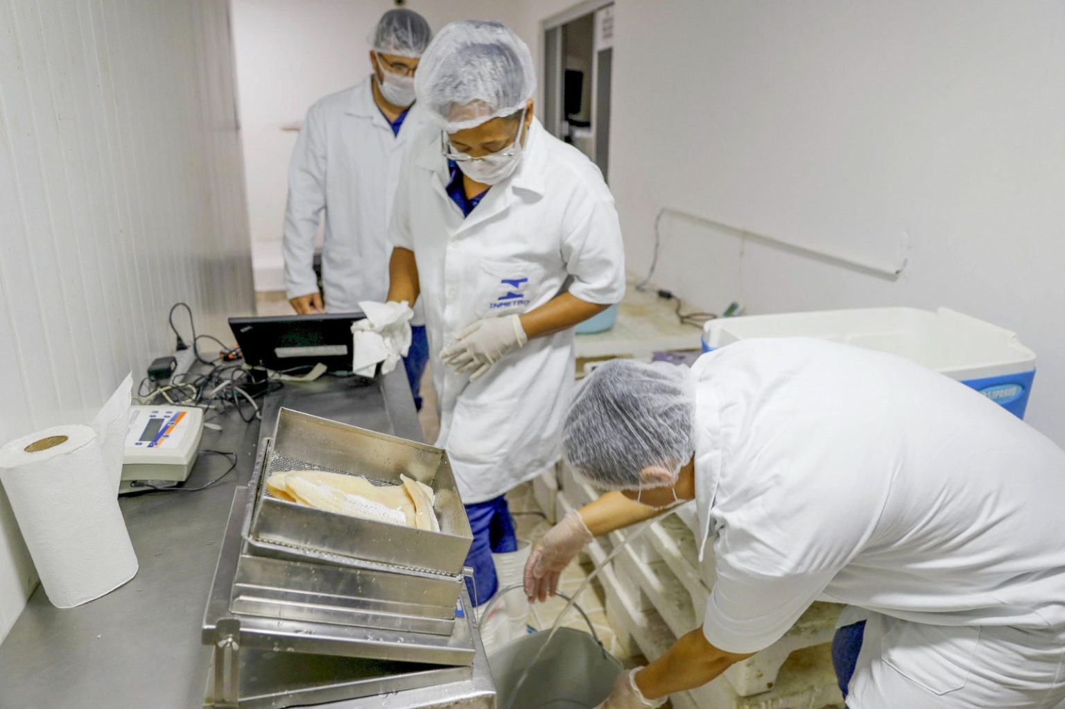 SEMANA SANTA | Órgãos de fiscalização do GDF apreendem 2,2 toneladas de pescados irregulares