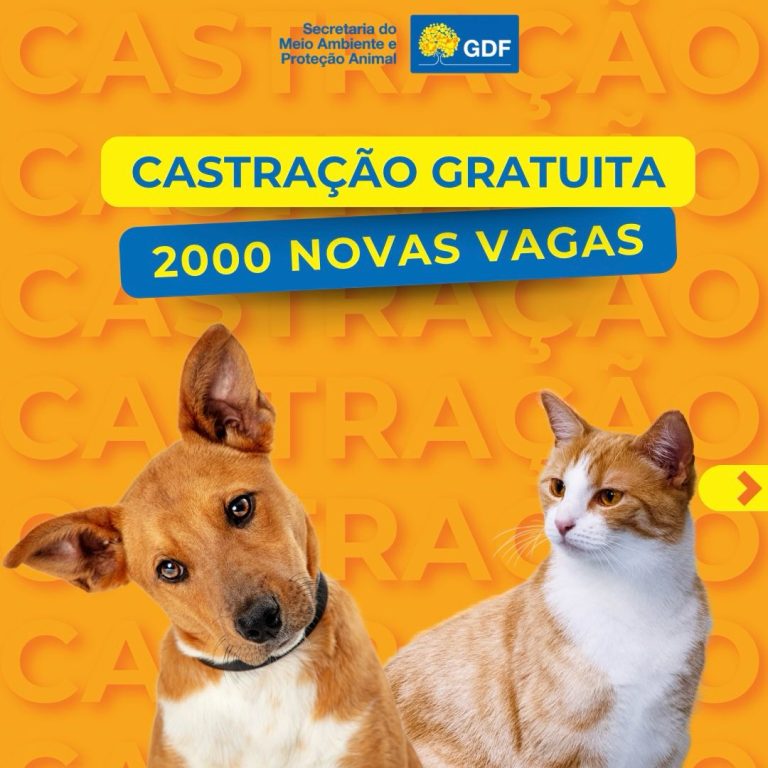 CONTROLE DA POPULAÇÃO ANIMAL | GDF vai realizar campanha de castração gratuita e atender 2 mil pets por mês