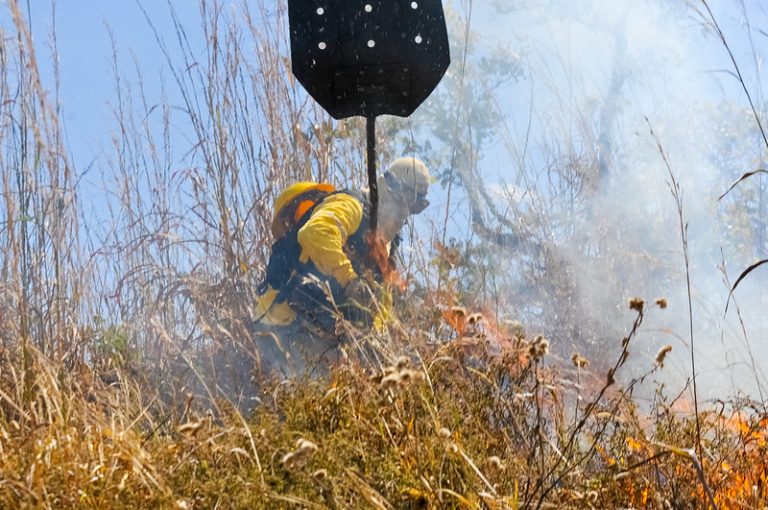 COM A CHEGADA DA SECA | Órgãos do GDF vão atuar em conjunto para evitar incêndios