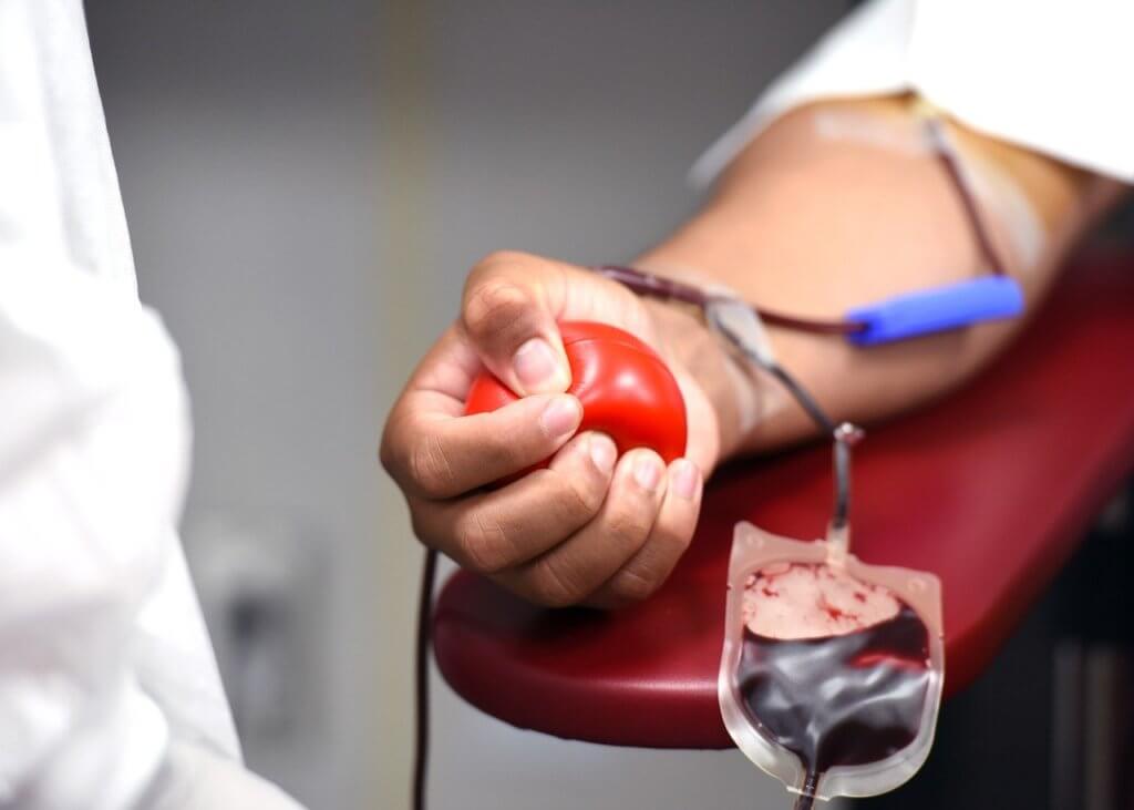 DIA MUNDIAL DO DOADOR DE SANGUE | Hemocentro promove coleta externa no Parque da Cidade nesta sexta (14) para celebrar a data