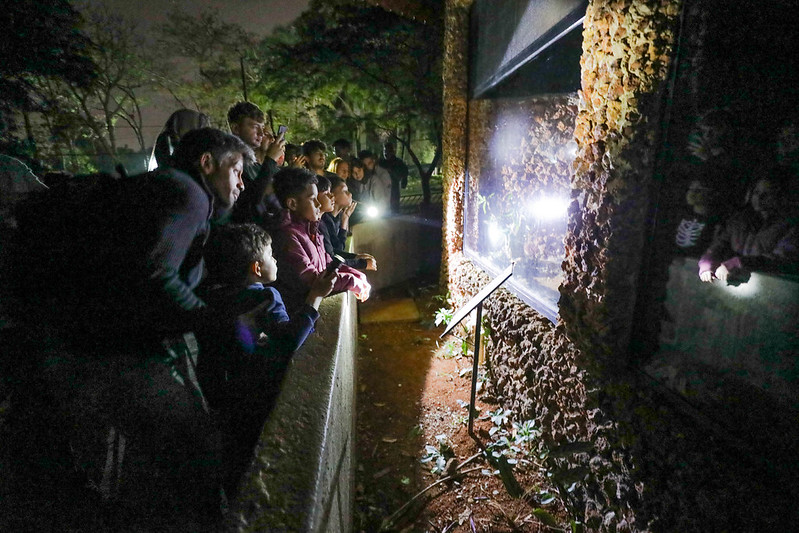 MUNDO ANIMAL | Zoológico de Brasília abre agendamento para visitação noturna nas terças e quintas