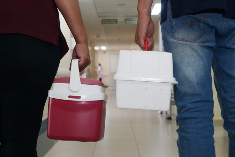 TRANSPLANTES DE FÍGADO | DF lidera ranking da taxa de cirurgias por milhão de habitantes