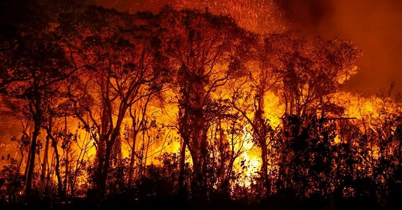 INCÊNDIOS NO PANTANAL | Mato Grosso do Sul decreta situação de emergência em municípios afetados
