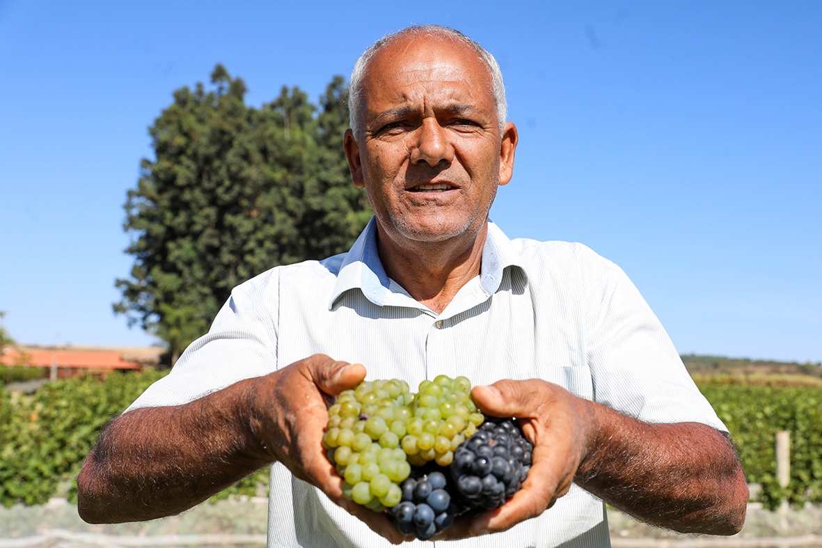 EXPOVITIS BRASIL 2024 | DF vai sediar a primeira edição da feira nacional do vinho