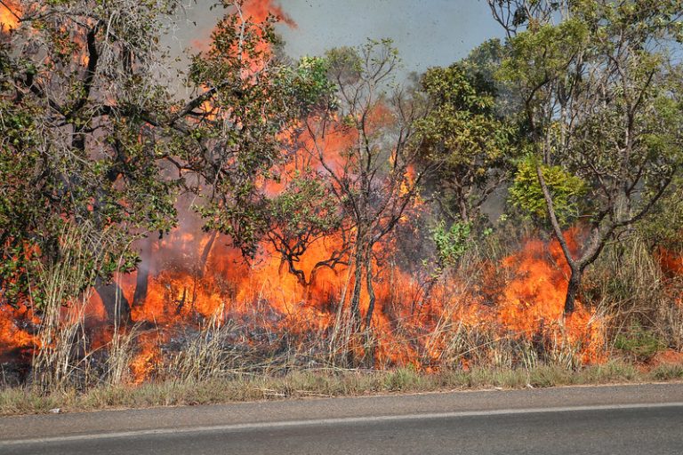 SECA NO DF | Boletim do Brasília Ambiental alerta para risco de queimadas devido a baixa umidade do ar