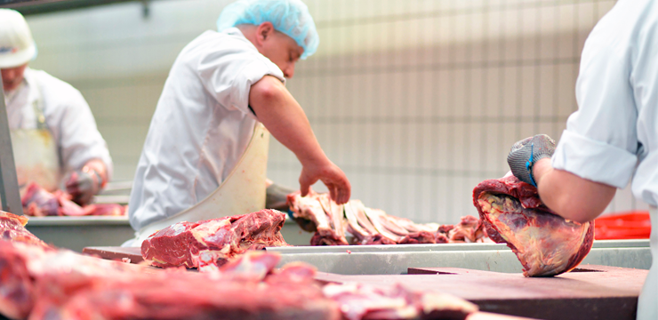 AGÊNCIA DO TRABALHADOR | 1.150 ofertas de emprego disponíveis no DF nesta quinta (19)