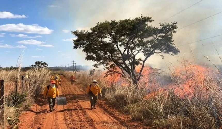INCÊNDIOS NO BRASIL | Mais de 11 milhões de pessoas foram afetadas pelas queimadas em todo o País aponta CNM