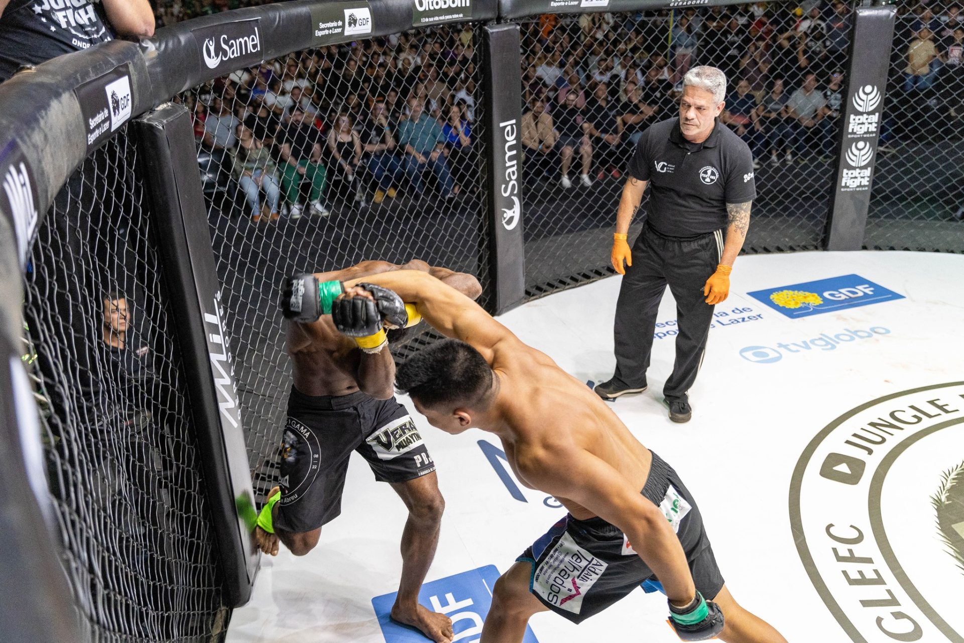 AGENDA DO FIM DE SEMANA | Festival automotivo, Jungle Fight, cinema e teatro de rua agitam o DF