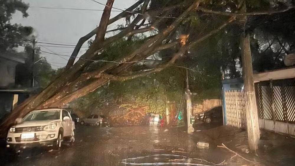 TEMPESTADE EM SP | Concessionária Enel informa que luz deve voltar até segunda (14); 1,45 milhão de casas estão no escuro desde sexta (11)