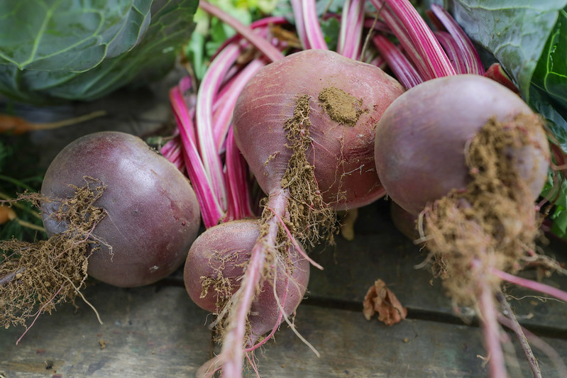 AGRICULTURA FAMILIAR | Programas do GDF fortalecem pequenos produtores e impulsionam a economia rural