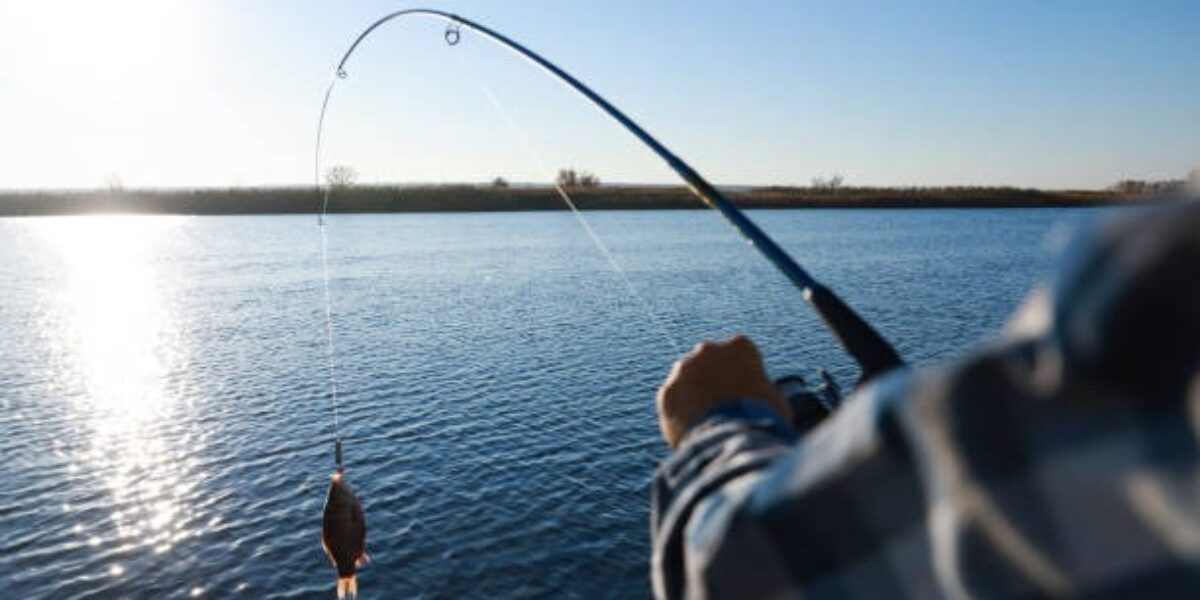 PIRACEMA EM GOIÁS | Período de preservação dos peixes começou no dia 1º e vai até 28 de fevereiro de 2025