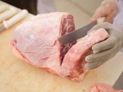 AGÊNCIA DO TRABALHADOR | Veja as 481 oportunidades de emprego oferecidas nesta quinta (23)