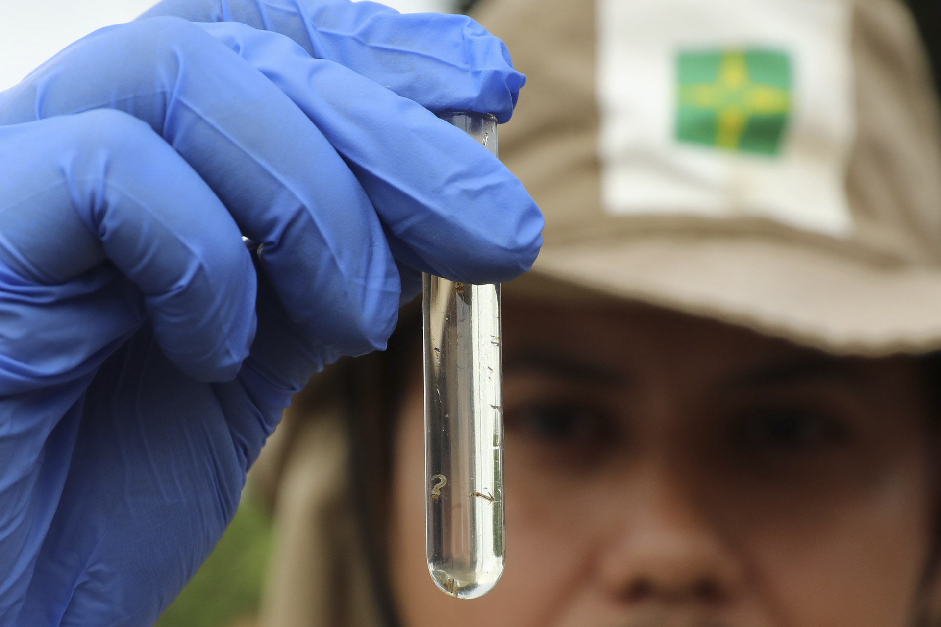 DENGUE NO DF | Nomeação de agentes, mutirões de limpeza e tecnologia fortalecem ações de enfrentamento a doença