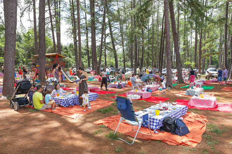 LAZER PARA TODOS | Ibaneis anuncia visitação gratuita no Zoológico e Jardim Botânico aos domingos e feriados