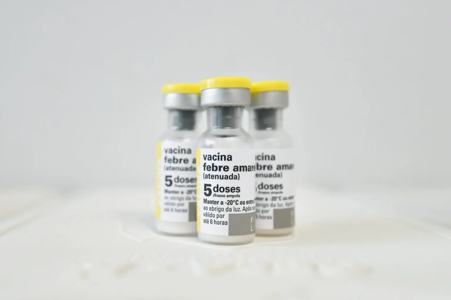 ALERTA EM GOIÁS | Autoridades estão preocupadas com a baixa cobertura vacinal da febre amarela no estado