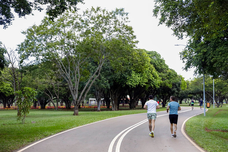 CIDADE-PARQUE | Brasília é a quinta capital mais arborizada do Brasil