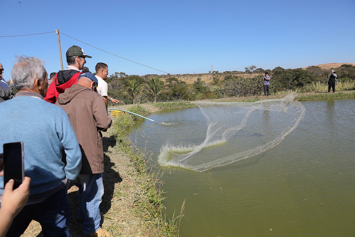 COM APOIO DO GDF | Produção de peixe no DF bate recorde anual de 2 mil toneladas