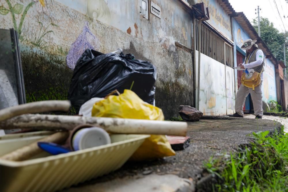 COMBATE À DENGUE | DF registra queda no foco do mosquito Aedes Aegypti
