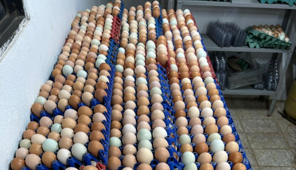 SEM SELO DE INSPEÇÃO | Fiscalização da Seagri apreende mais de mil ovos irregulares no DF