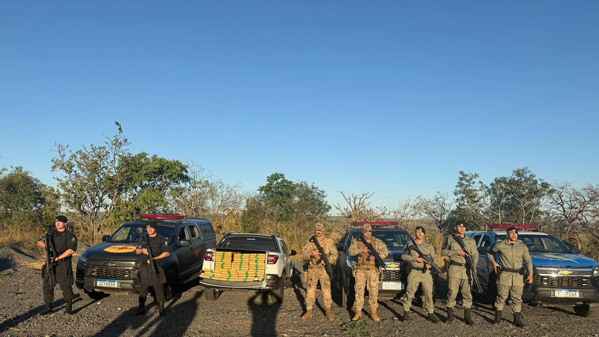 A caminho de Luziânia: Operação conjunta das Polícias do DF e Goiás apreende 210 kg de maconha