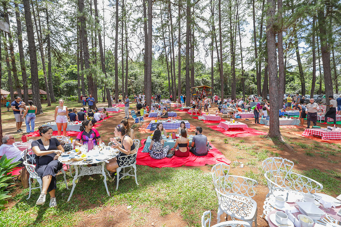 Feriado da Consciência Negra no DF: veja o que abre e o que fecha entre quinta (20) e domingo (23)