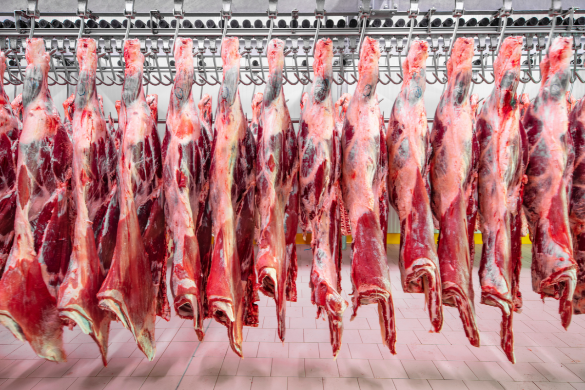 Comércio global: Brasil supera os EUA e se torna o maior produtor de carne bovina do mundo em 2025